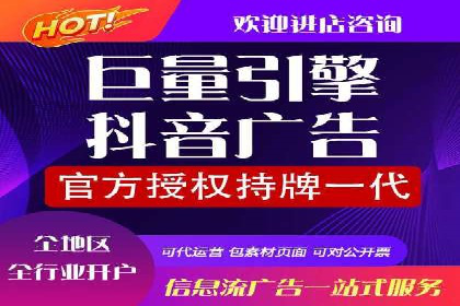 竞价广告端口开户的典型案例剖析
